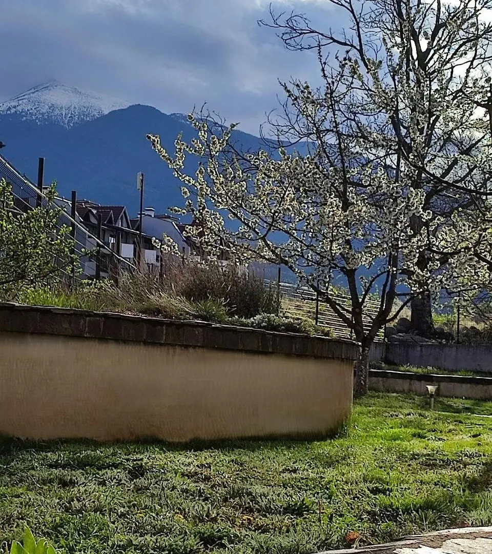 Belvedere Holiday Club Spa&Ski Private Apartments Bansko